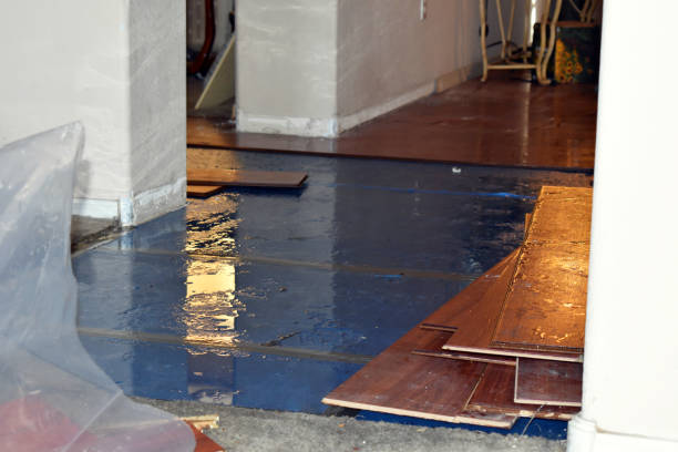 Professional Burst Pipe Cleanup technician working in Houston, TX